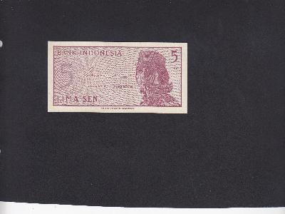 Beschrijving achterzijde: FEMALE